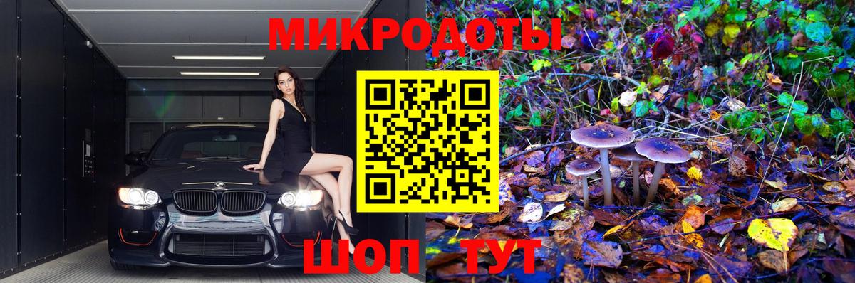 Лесозаводск  Псилоцибиновые грибы прущие грибы  Галлюциногенные грибы Psilocybe  Вход с VPN 